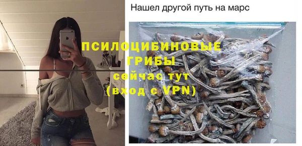 герыч Арсеньев