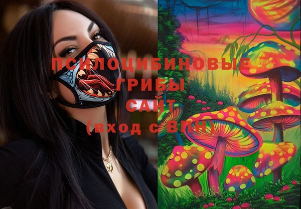 дурь Армянск