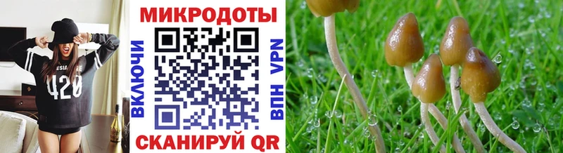 Галлюциногенные грибы ЛСД  ОМГ ОМГ зеркало  Починок 